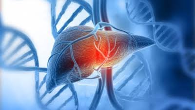 Alcohol and Liver