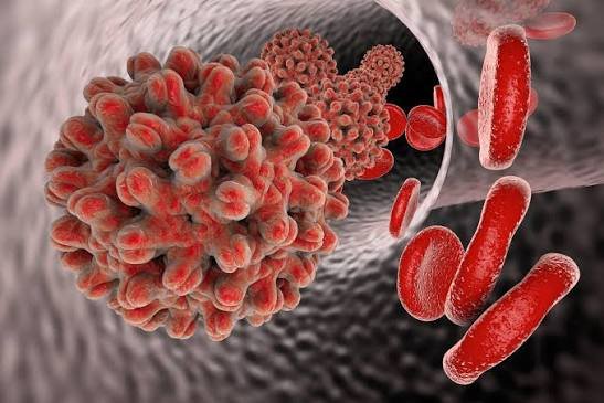 Hepatitis B vs Hepatitis C